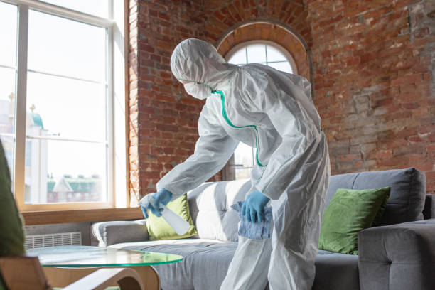 Best Asbestos and Lead Testing During Mold Inspection in Huntingdon, PA